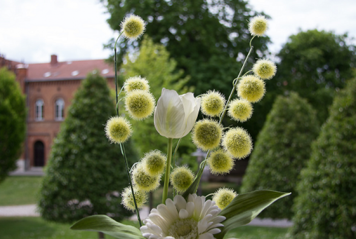 Trixi Praxis II-015klein